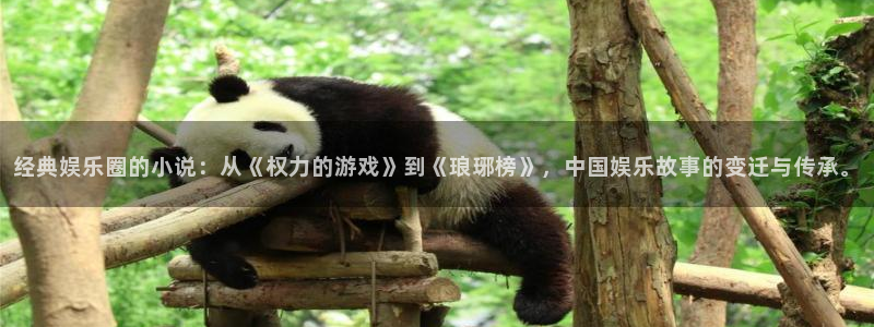 杏鑫娱乐：经典娱乐圈的小说：从《权力的游戏》到《琅琊榜》，中国娱乐故事的变迁与传承。